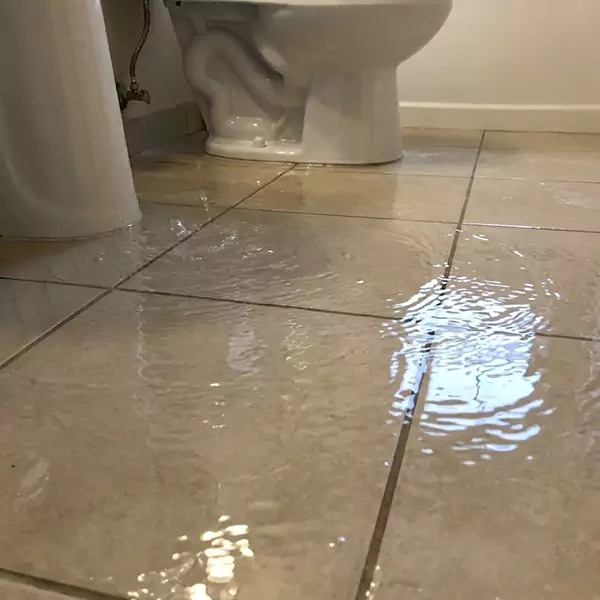 Expert Flooded Bathroom Restoration in Weymouth, MA 