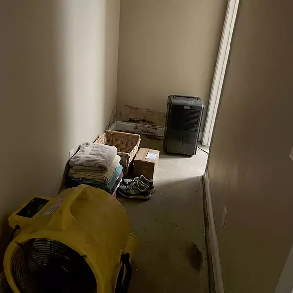 Expert Water Remediation in Weymouth, MA 