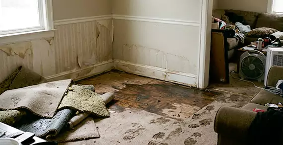 Why Choose Weymouth Water Damage For Water Damage Restoration Services in Weymouth, MA?