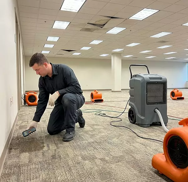 Why Businesses Choose Weymouth Water Damage for Commercial Water Damage in Weymouth, MA?