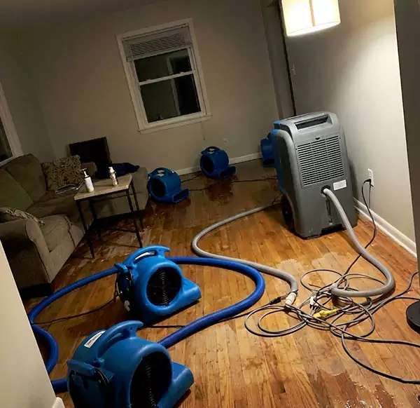 Why Homeowners & Businesses Choose Weymouth Water Damage for Emergency Water Restoration in Weymouth, MA?