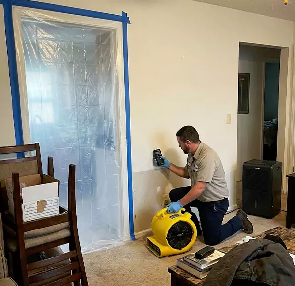 Why Homeowners & Businesses Choose Weymouth Water Damage for Water Remediation in Weymouth, MA?