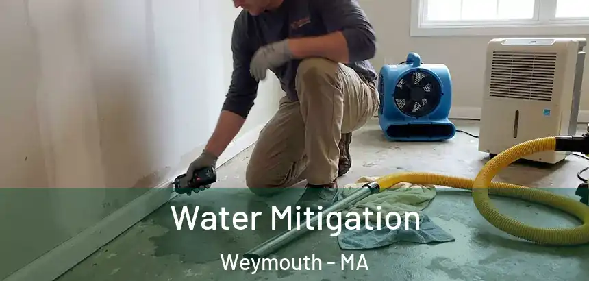  Water Mitigation Weymouth - MA